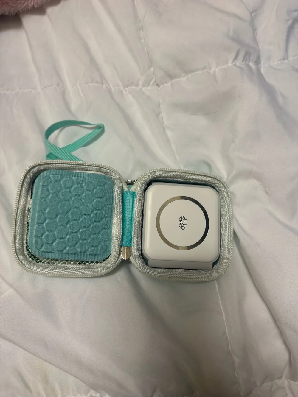 Source Unknown Mint Green Portable Charger with Case